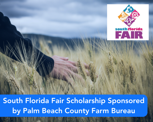 South Florida Fair Scholarship
